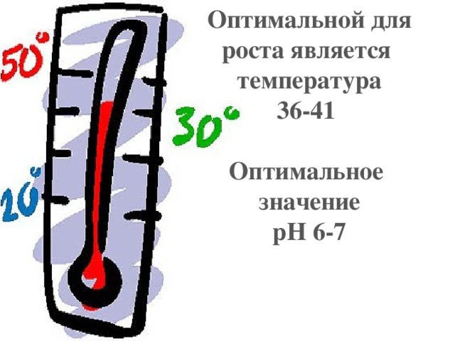 Оптимальной для роста является температура 36-41  Оптимальное значение рН 6-7