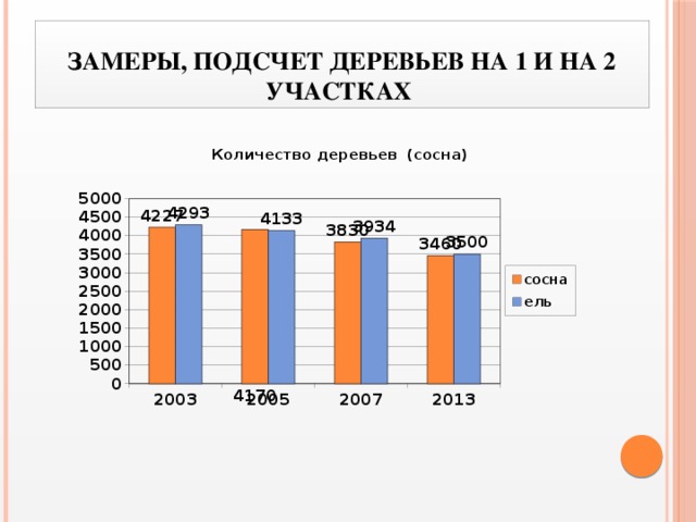 Замеры, подсчет деревьев на 1 и на 2 участках