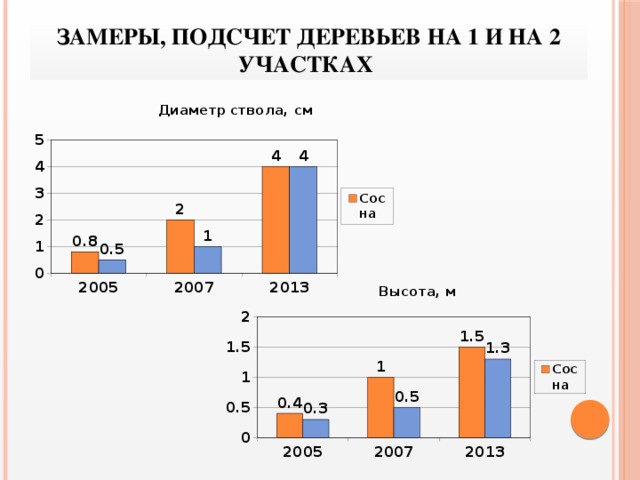 Замеры, подсчет деревьев на 1 и на 2 участках