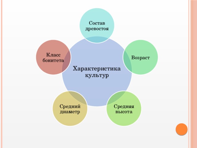 Состав древостоя Характеристика культур Возраст Класс бонитета Средняя высота Средний диаметр