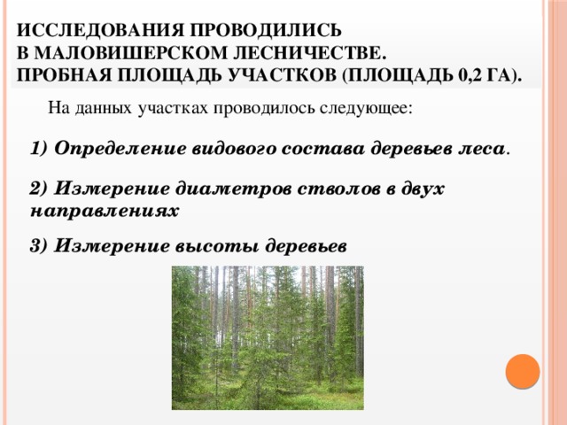 Исследования проводились  в Маловишерском лесничестве.  Пробная площадь участков (площадь 0,2 га). На данных участках проводилось следующее: 1) Определение видового состава деревьев леса . 2) Измерение диаметров стволов в двух направлениях 3) Измерение высоты деревьев