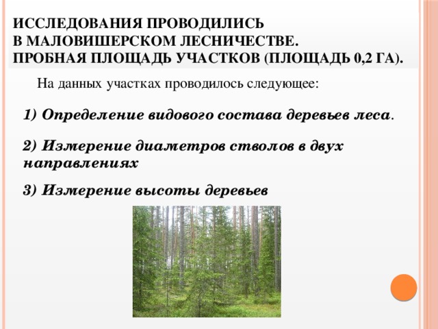 Обследование площадей подлежащих закультивированию составление проекта лесных культур