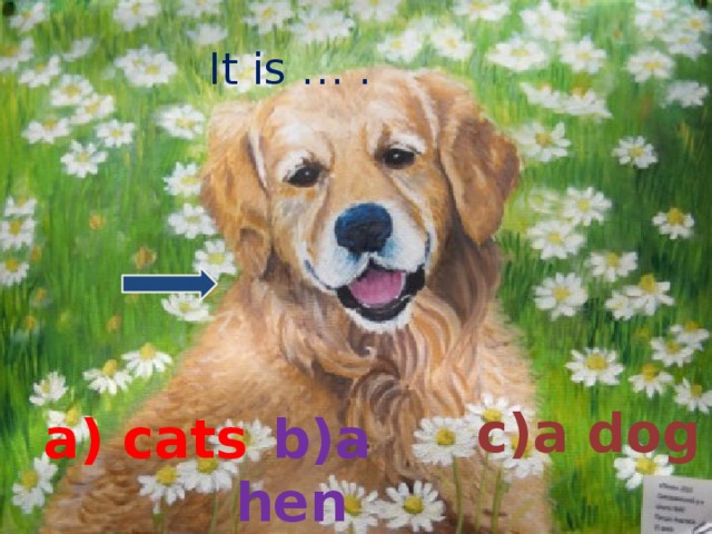 It is … . c)a dog a) cats  b)a hen