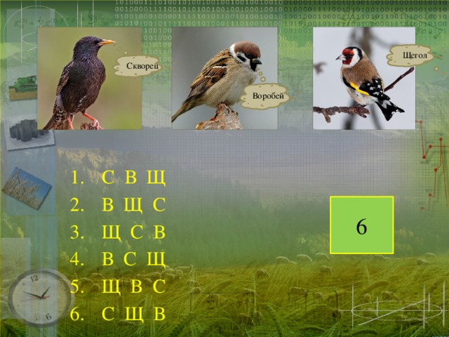 Щегол Скворец Воробей С В Щ В Щ С Щ С В В С Щ Щ В С С Щ В 6