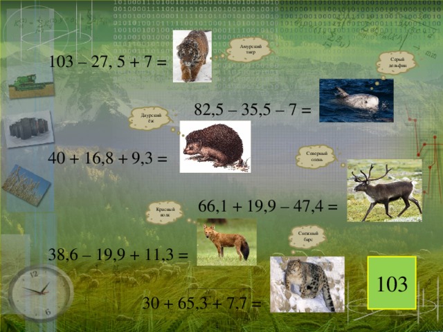 103 – 27, 5 + 7 =  82,5 – 35,5 – 7 = 40 + 16,8 + 9,3 =  66,1 + 19,9 – 47,4 = 38,6 – 19,9 + 11,3 =  30 + 65,3 + 7,7 = Амурский тигр Серый дельфин Даурский ёж Северный олень Красный волк Снежный барс 103