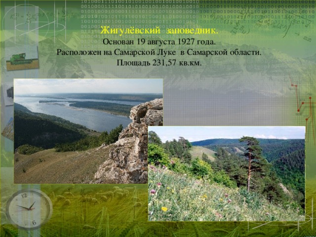 Жигулёвский заповедник.  Основан 19 августа 1927 года.  Расположен на Самарской Луке в Самарской области.  Площадь 231,57 кв.км.