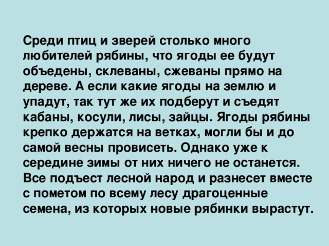 Среди птиц и зверей столько много любителей рябины, что ягоды ее будут объедены, склеваны, сжеваны прямо на дереве. А если какие ягоды на землю и упадут, так тут же их подберут и съедят кабаны, косули, лисы, зайцы. Ягоды рябины крепко держатся на ветках, могли бы и до самой весны провисеть. Однако уже к середине зимы от них ничего не останется. Все подъест лесной народ и разнесет вместе с пометом по всему лесу драгоценные семена, из которых новые рябинки вырастут.