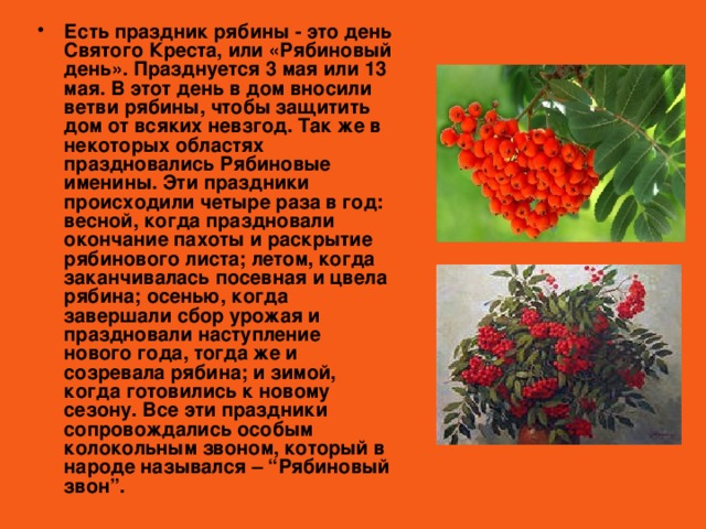 Есть праздник рябины - это день Святого Креста, или «Рябиновый день». Празднуется 3 мая или 13 мая. В этот день в дом вносили ветви рябины, чтобы защитить дом от всяких невзгод. Так же в некоторых областях праздновались Рябиновые именины. Эти праздники происходили четыре раза в год: весной, когда праздновали окончание пахоты и раскрытие рябинового листа; летом, когда заканчивалась посевная и цвела рябина; осенью, когда завершали сбор урожая и праздновали наступление нового года, тогда же и созревала рябина; и зимой, когда готовились к новому сезону. Все эти праздники сопровождались особым колокольным звоном, который в народе назывался – “Рябиновый звон”.