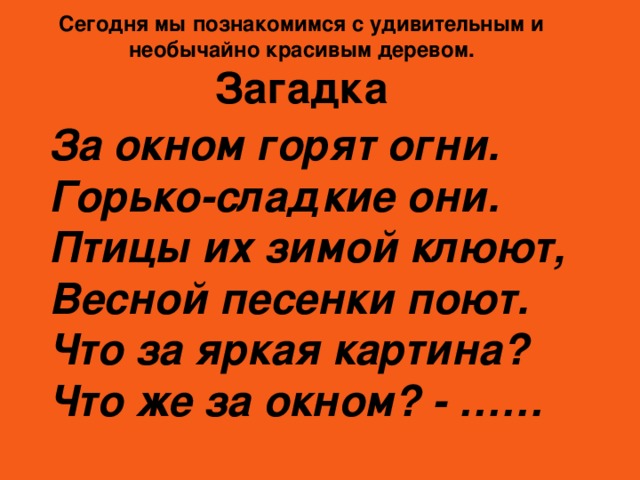 Сегодня мы познакомимся с удивительным и необычайно красивым деревом. Загадка За окном горят огни.  Горько-сладкие они.  Птицы их зимой клюют,  Весной песенки поют.  Что за яркая картина?  Что же за окном? - ……