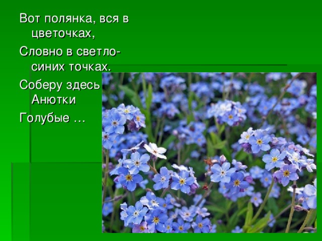 Вот полянка, вся в цветочках, Словно в светло-синих точках. Соберу здесь для Анютки Голубые …