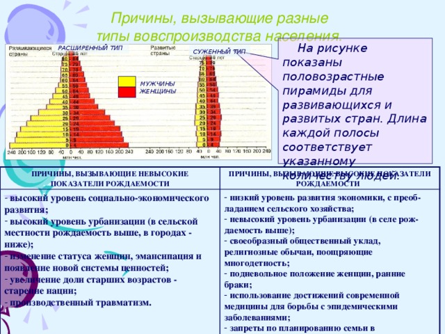 Какой тип в стране z. Типы воспроизводства населения по половозрастной пирамиде. Пирамида второго типа воспроизводства населения. Половозрастная пирамида развивающихся стран. Половозрастная пирамида развитых стран.