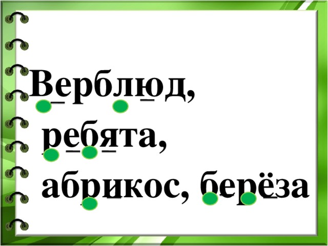 Верблюд, ребята, абрикос, берёза