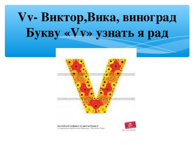 Vv- Виктор,Вика, виноград  Букву « Vv » узнать я рад