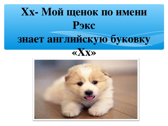 Xx- Мой щенок по имени Рэкс  знает английскую буковку « Xx »