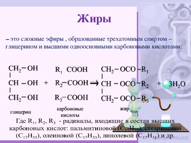 Жиры – это сложные эфиры , образованные трехатомным спиртом – глицерином и высшими одноосновными карбоновыми кислотами: R 1 COOH 7