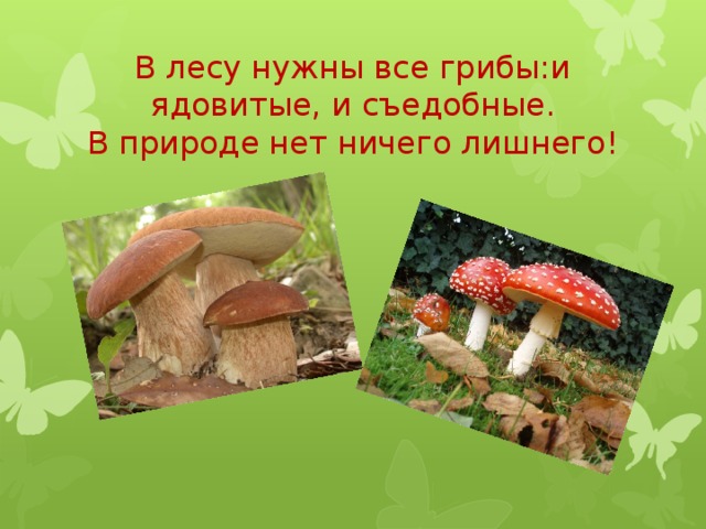 В лесу нужны все грибы:и ядовитые, и съедобные.  В природе нет ничего лишнего!