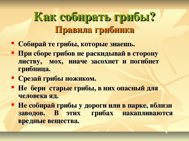 Как собирать грибы?  Правила грибника