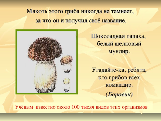 Мякоть этого гриба никогда не темнеет, за что он и получил своё название. Мякоть этого гриба никогда не темнеет, за что он и получил своё название. Шоколадная папаха, белый шелковый мундир. Угадайте-ка, ребята, кто грибов всех командир. (Боровик) Учёным известно около 100 тысяч видов этих организмов .