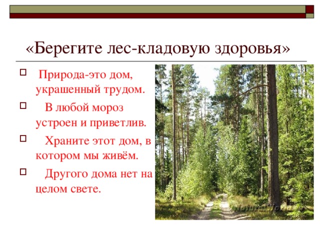 «Берегите лес-кладовую здоровья»