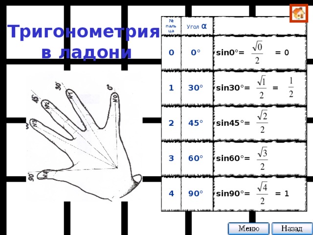 № пальца Угол α 0 0 ° 1  sin 0 ° = = 0 30 ° 2  sin 30 ° = =  45 ° 3 4  sin 45 ° =  60 °  sin 60 ° =  90 °  sin 90 ° = = 1 Тригонометрия  в ладони
