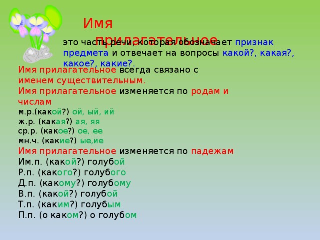 Имя прилагательное это часть речи, которая обозначает признак предмета и отвечает на вопросы какой?, какая?, какое?, какие?. Имя прилагательное  всегда связано с  именем существительным. Имя прилагательное изменяется по родам и числам м.р.(как ой ?) ой, ый, ий ж.р. (как ая ?) ая, яя ср.р. (как ое ?) ое, ее мн.ч. (как ие ?) ые,ие Имя прилагательное изменяется по падежам Им.п. (как ой ?) голуб ой Р.п. (как ого ?) голуб ого Д.п. (как ому ?) голуб ому В.п. (как ой ?) голуб ой Т.п. (как им ?) голуб ым П.п. (о как ом ?) о голуб ом