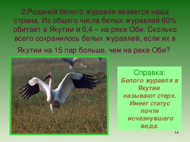 2.Родиной белого журавля является наша страна. Из общего числа белых журавлей 60% обитает в Якутии и 0,4 – на реке Оби. Сколько всего сохранилось белых журавлей, если их в Якутии на 15 пар больше, чем на реке Оби?  Справка: Белого журавля в Якутии называют стерх. Имеет статус почти  исчезнувшего вида.