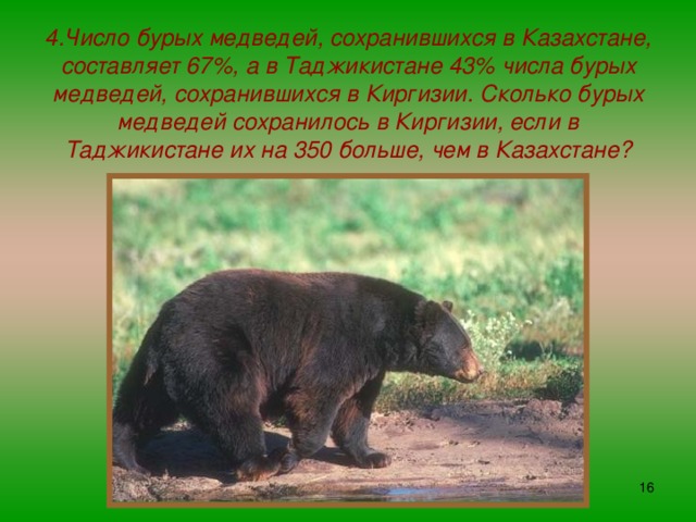 4.Число бурых медведей, сохранившихся в Казахстане, составляет 67%, а в Таджикистане 43% числа бурых медведей, сохранившихся в Киргизии. Сколько бурых медведей сохранилось в Киргизии, если в Таджикистане их на 350 больше, чем в Казахстане?