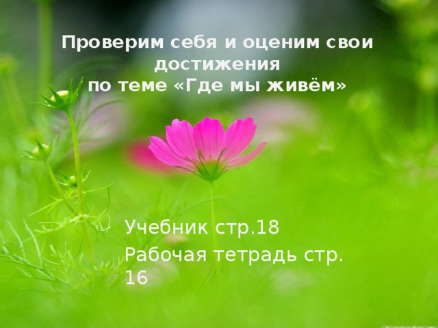 Проверим себя и оценим свои достижения  по теме «Где мы живём» Учебник стр.18 Рабочая тетрадь стр. 16