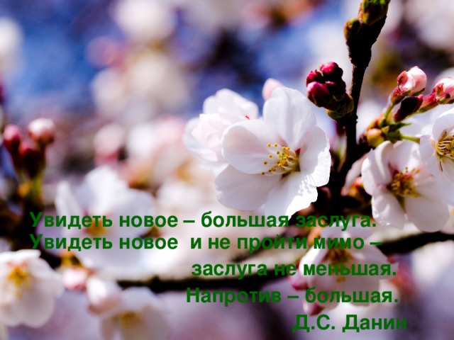 Увидеть новое – большая заслуга. Увидеть новое и не пройти мимо –  заслуга не меньшая.  Напротив – большая.  Д.С. Данин