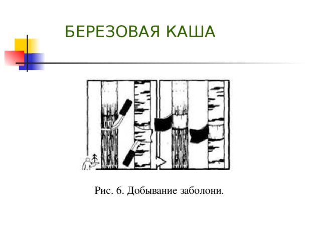 Что на руси означало выражение березовая каша