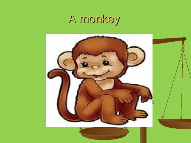 A monkey