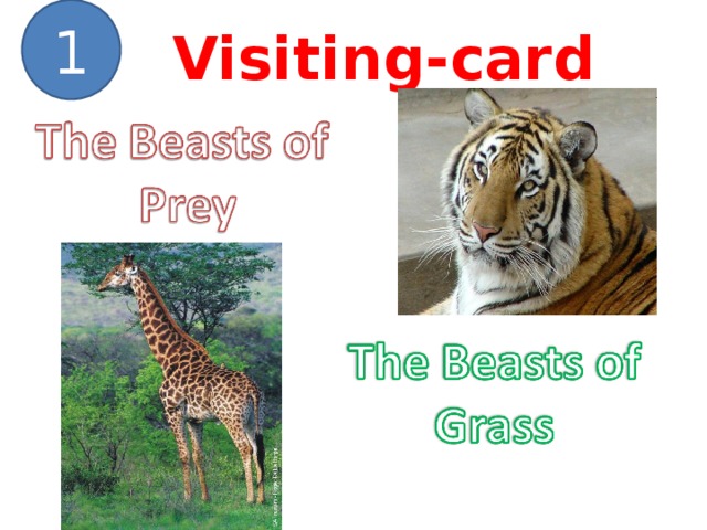 1 Visiting-card
