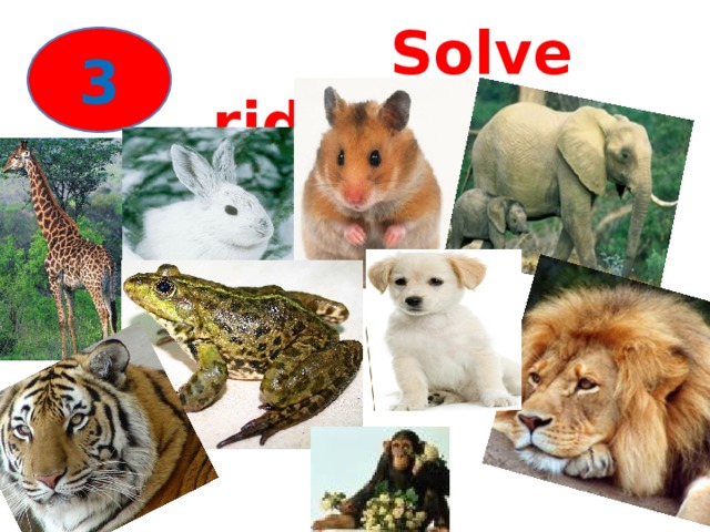Solve riddles 3