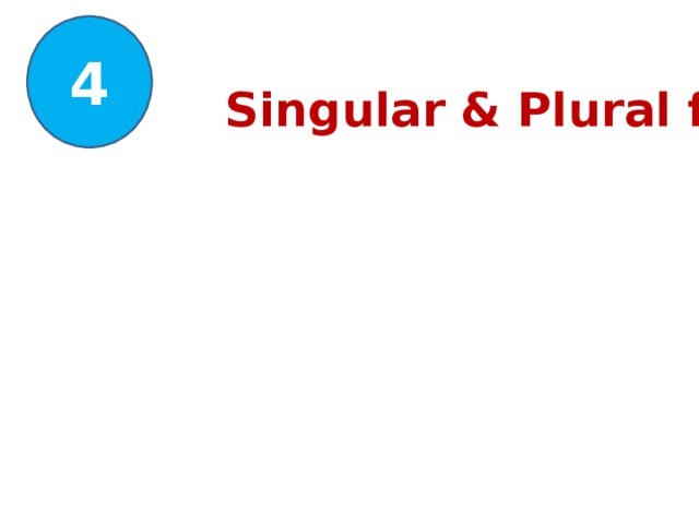 4 Singular & Plural form
