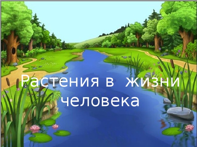 Роль растений в жизни животных Что изображено на картинках? Что произошло бы с животными,  если бы исчезли растения?