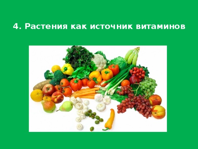 5 . Декоративные растения - (эстетическое значение - они украшают нашу жизнь, приносят радость)