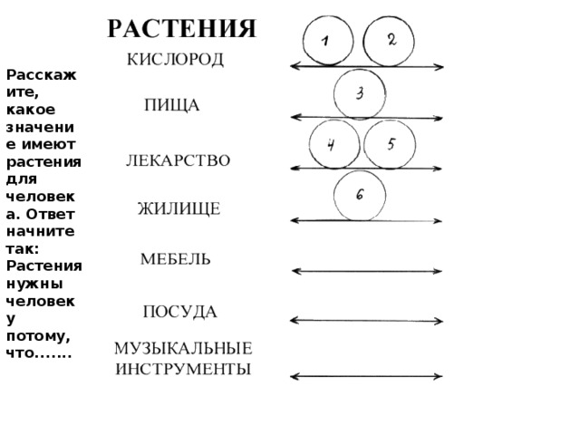 Где использует человек дикорастущие растения? Лекарства Бумага Стройматериалы Каучук Корм скоту Топливо Пища человеку