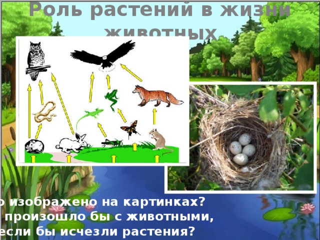 В природе растения: