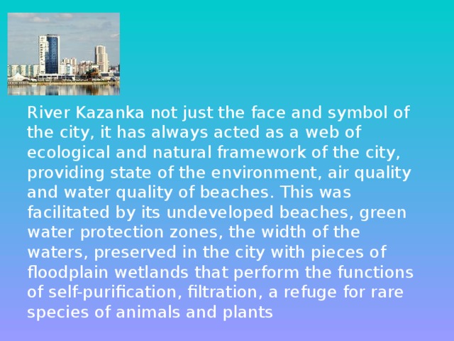 River Kazanka not just the face and symbol of the city, it has always acted as a web of ecological and natural framework of the city, providing state of the environment, air quality and water quality of beaches. This was facilitated by its undeveloped beaches, green water protection zones, the width of the waters, preserved in the city with pieces of floodplain wetlands that perform the functions of self-purification, filtration, a refuge for rare species of animals and plants