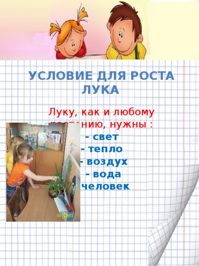 Условие для роста лука  Луку, как и любому растению, нужны : - свет - тепло  - воздух  - вода - человек