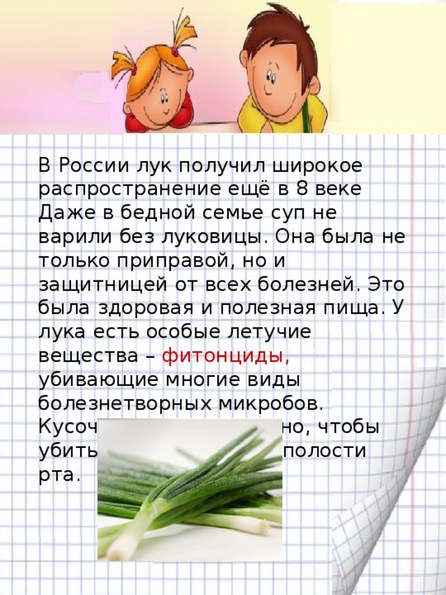 В России лук получил широкое распространение ещё в 8 веке Даже в бедной семье суп не варили без луковицы. Она была не только приправой, но и защитницей от всех болезней. Это была здоровая и полезная пища. У лука есть особые летучие вещества – фитонциды, убивающие многие виды болезнетворных микробов. Кусочка лука достаточно, чтобы убить всех микробов в полости рта.