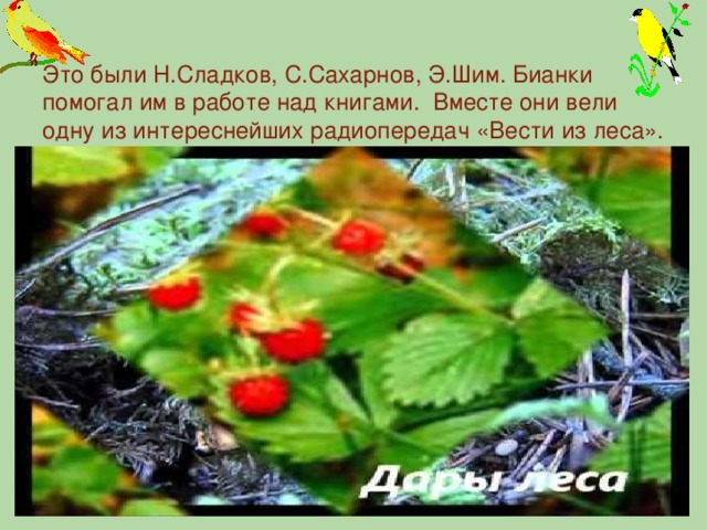 Это были Н.Сладков, С.Сахарнов, Э.Шим. Бианки помогал им в работе над книгами. Вместе они вели одну из интереснейших радиопередач «Вести из леса». ****************************************