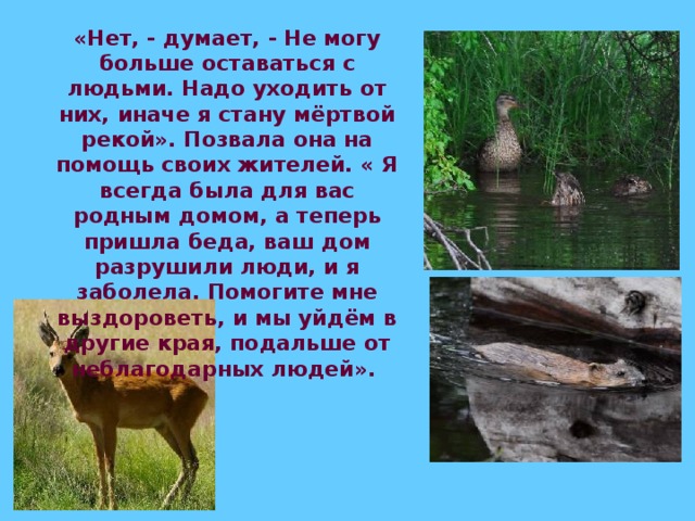 «Нет, - думает, - Не могу больше оставаться с людьми. Надо уходить от них, иначе я стану мёртвой рекой». Позвала она на помощь своих жителей. « Я всегда была для вас родным домом, а теперь пришла беда, ваш дом разрушили люди, и я заболела. Помогите мне выздороветь, и мы уйдём в другие края, подальше от неблагодарных людей».