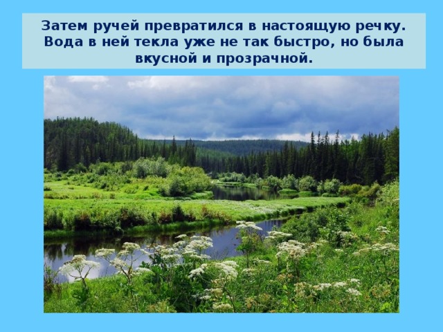 Затем ручей превратился в настоящую речку. Вода в ней текла уже не так быстро, но была вкусной и прозрачной.