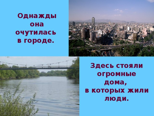 Однажды она очутилась  в городе.  Здесь стояли огромные дома, в которых жили люди.