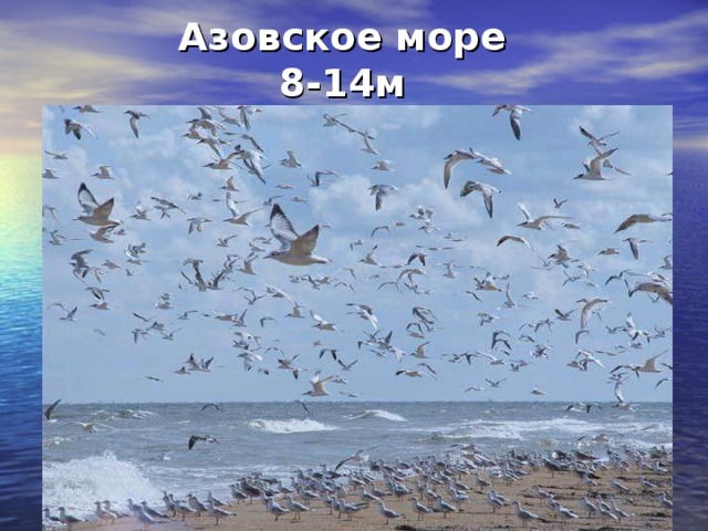 Азовское море  8-14 м