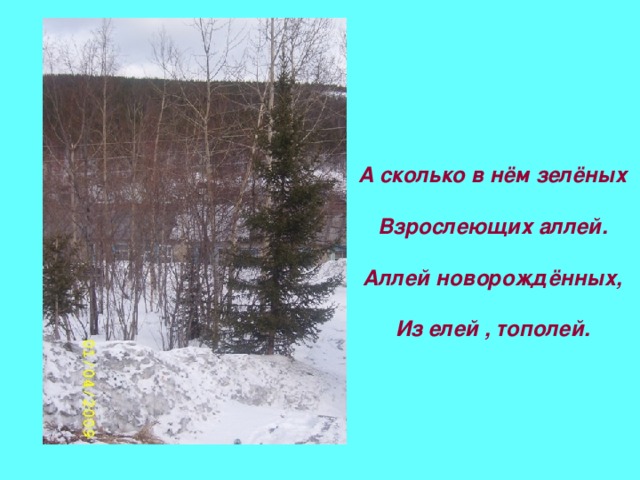 А сколько в нём зелёных   Взрослеющих аллей.   Аллей новорождённых,   Из елей , тополей.