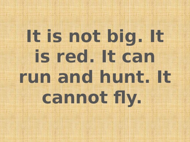 It is not big. It is red. It can run and hunt. It cannot fly.