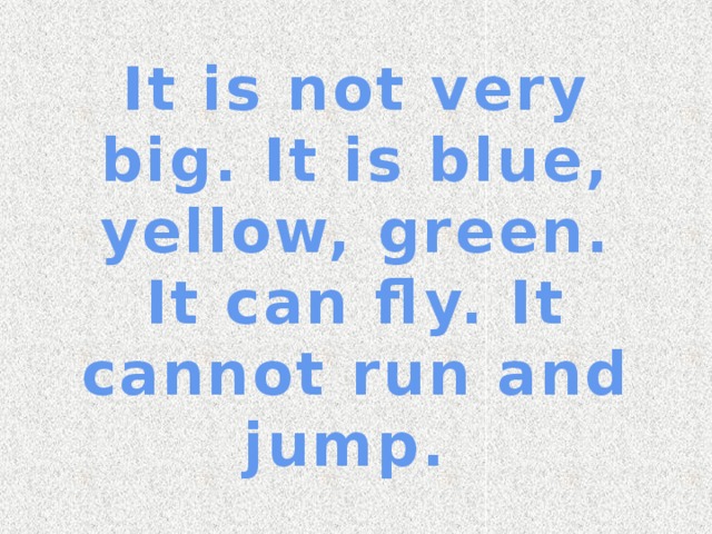 It is not very big. It is blue, yellow, green. It can fly. It cannot run and jump.
