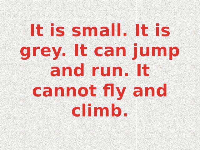 It is small. It is grey. It can jump and run. It cannot fly and climb.